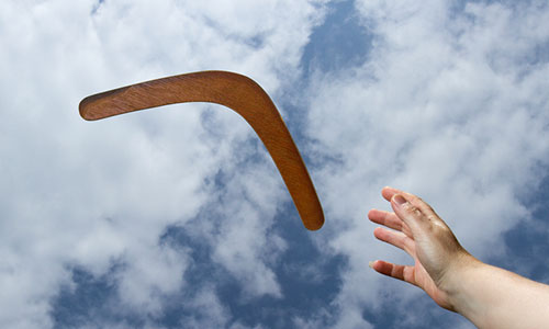 Word of the Week | Boomerang Summary Judgment